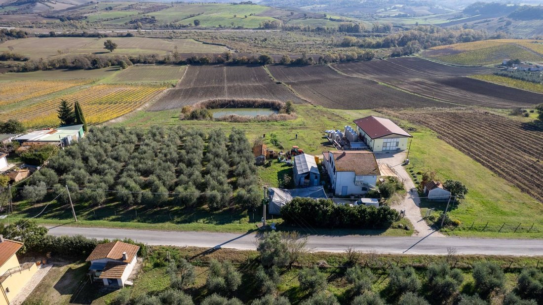 Farm Ranch in Manciano, Tuscany, Italy 1 - 16626396