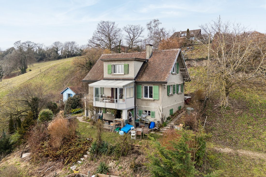 House With Two Apartments To Renovate!