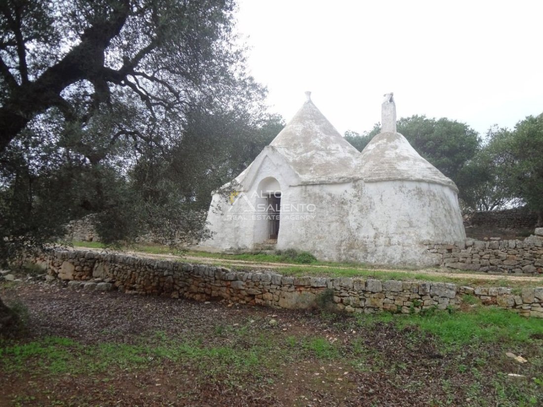 Estate in Selva di Fasano, Apulia, Italy 3 - 16624467