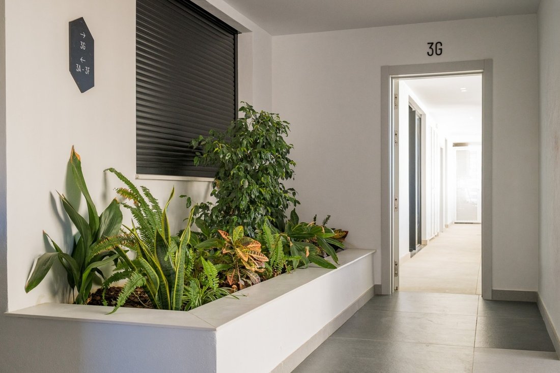 Apartment in La Capellania, Benalmadena, Andalusia 5 - 13970167