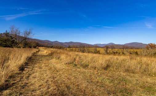 Land in Stanardsville, Virginia, United States 1