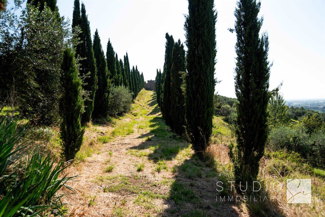 Villa in Spazzavento - Pontelungo, Pistoia, Italy 5 - 16625631