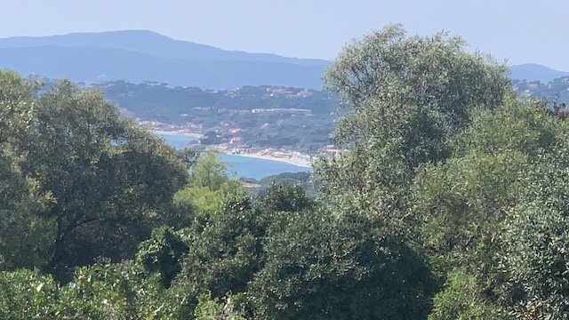 House in Les Issambres, Roquebrune-sur-Argens, France 5 - 16626993
