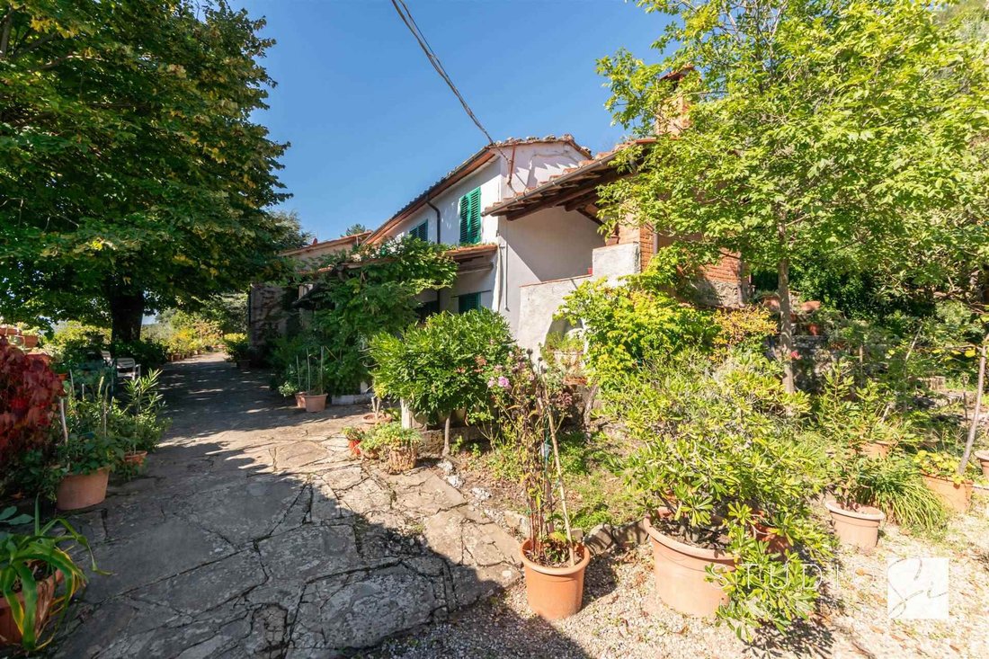 Estate in San Felice - Piteccio, Pistoia, Italy 4 - 16625313