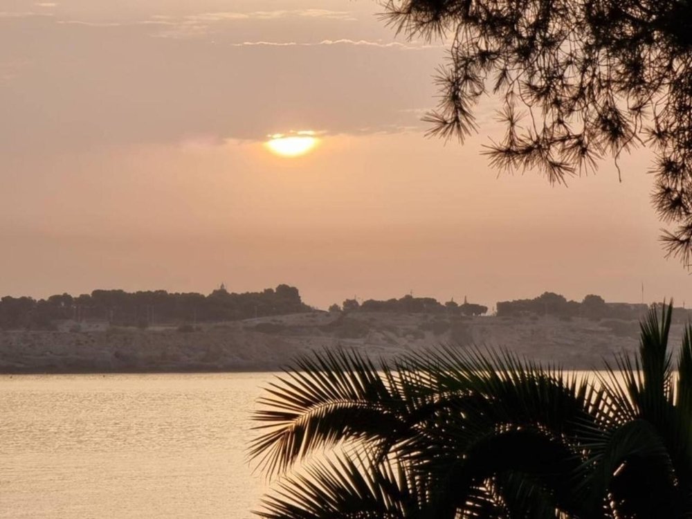 Apartment in Portals Nous, Calvia, Balearic Islands 3 - 16623611