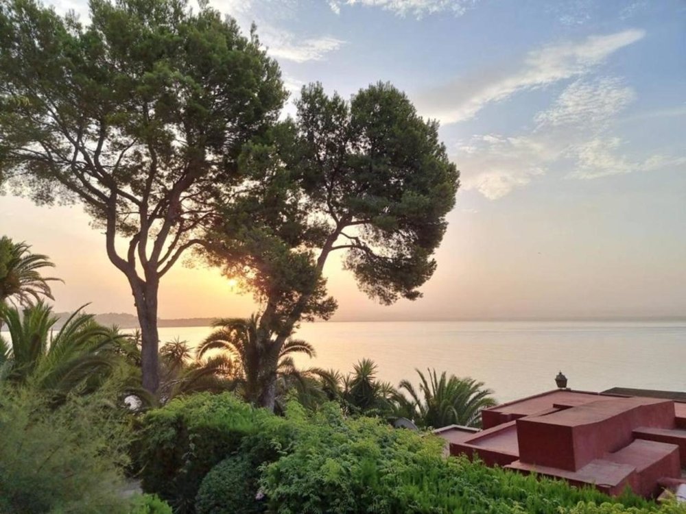 Apartment in Portals Nous, Calvia, Balearic Islands 1 - 16623611