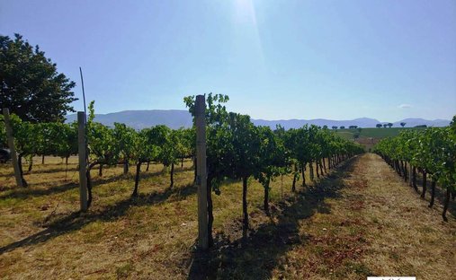 Castle for Sale in Montefalco, Umbria, Italy