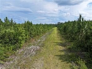 Farm Ranch in Jesup, Georgia, United States 4 - 16624417