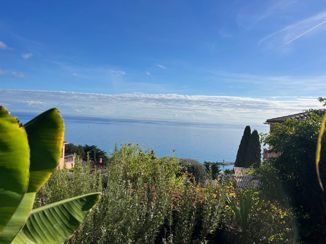 Villa in Menton, Provence-Alpes-Côte d'Azur, France 3 - 16583953