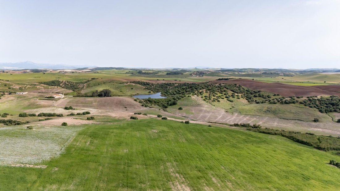 Las Cabezas de San Juan, Andalusia, Spain 2 - 16625847