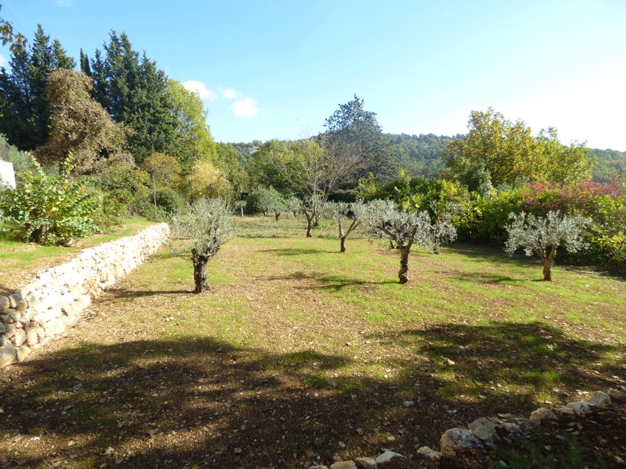 House in Seillans, Provence-Alpes-Côte d'Azur, France 2 - 16625360