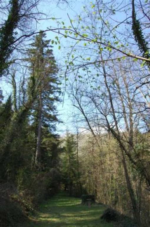 Villa in Porta Romana-Monteverde, Ascoli Piceno, Marche 2 - 16623272