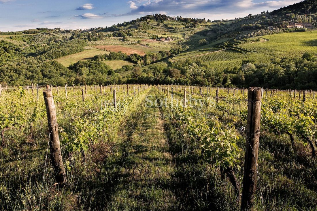 House in Center, Greve in Chianti, Tuscany 3 - 16622767