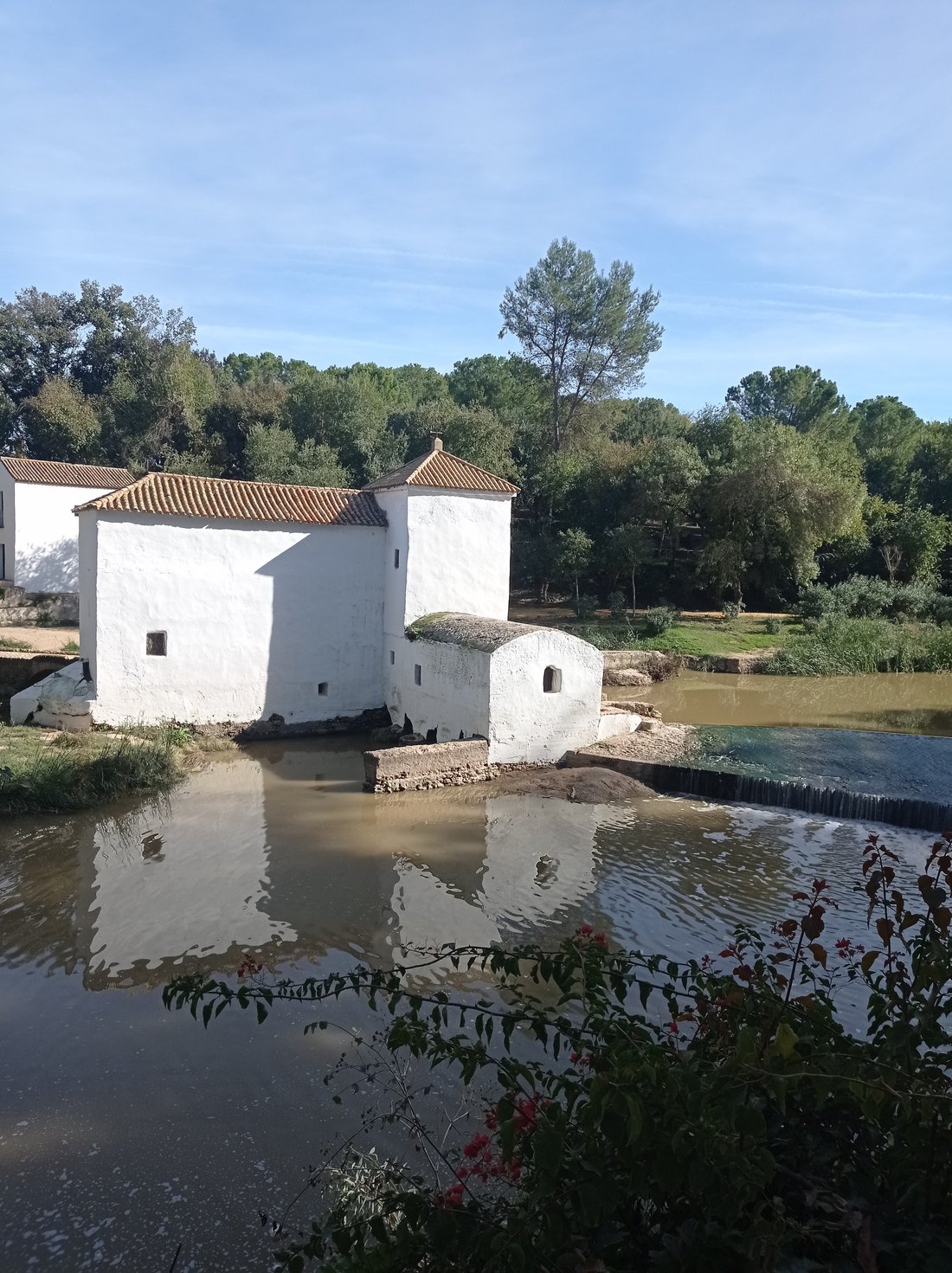 Land in Alcala de Guadaira, Andalusia, Spain 4 - 16625843