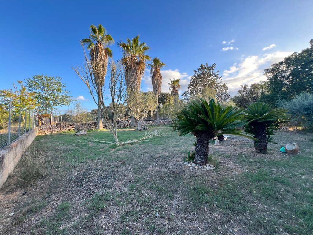 Villa in Costitx, Balearic Islands, Spain 5 - 16625175