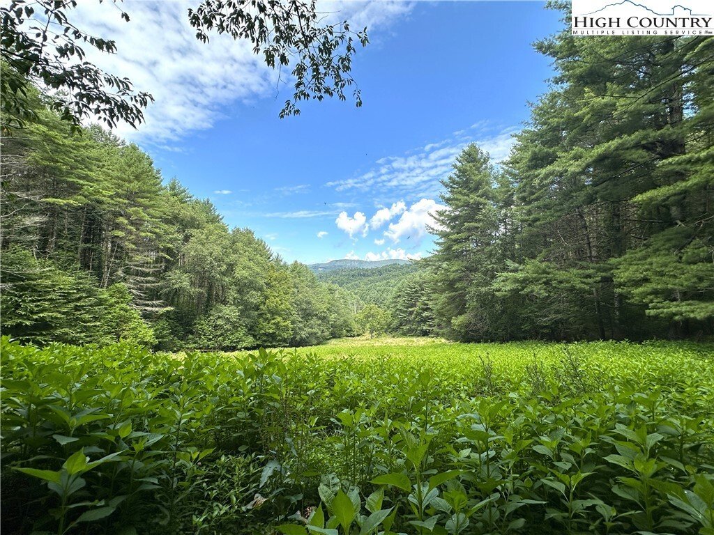 House in Cove Creek, North Carolina, United States 5 - 16625164