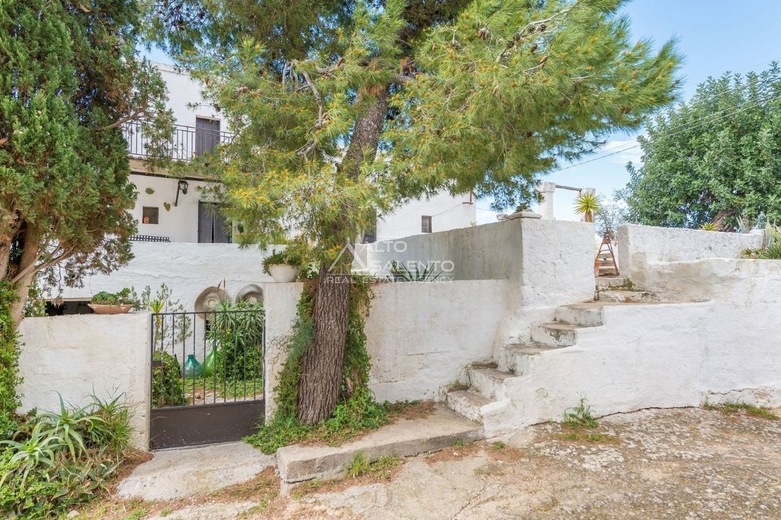 Estate in Selva di Fasano, Apulia, Italy 2 - 16625091