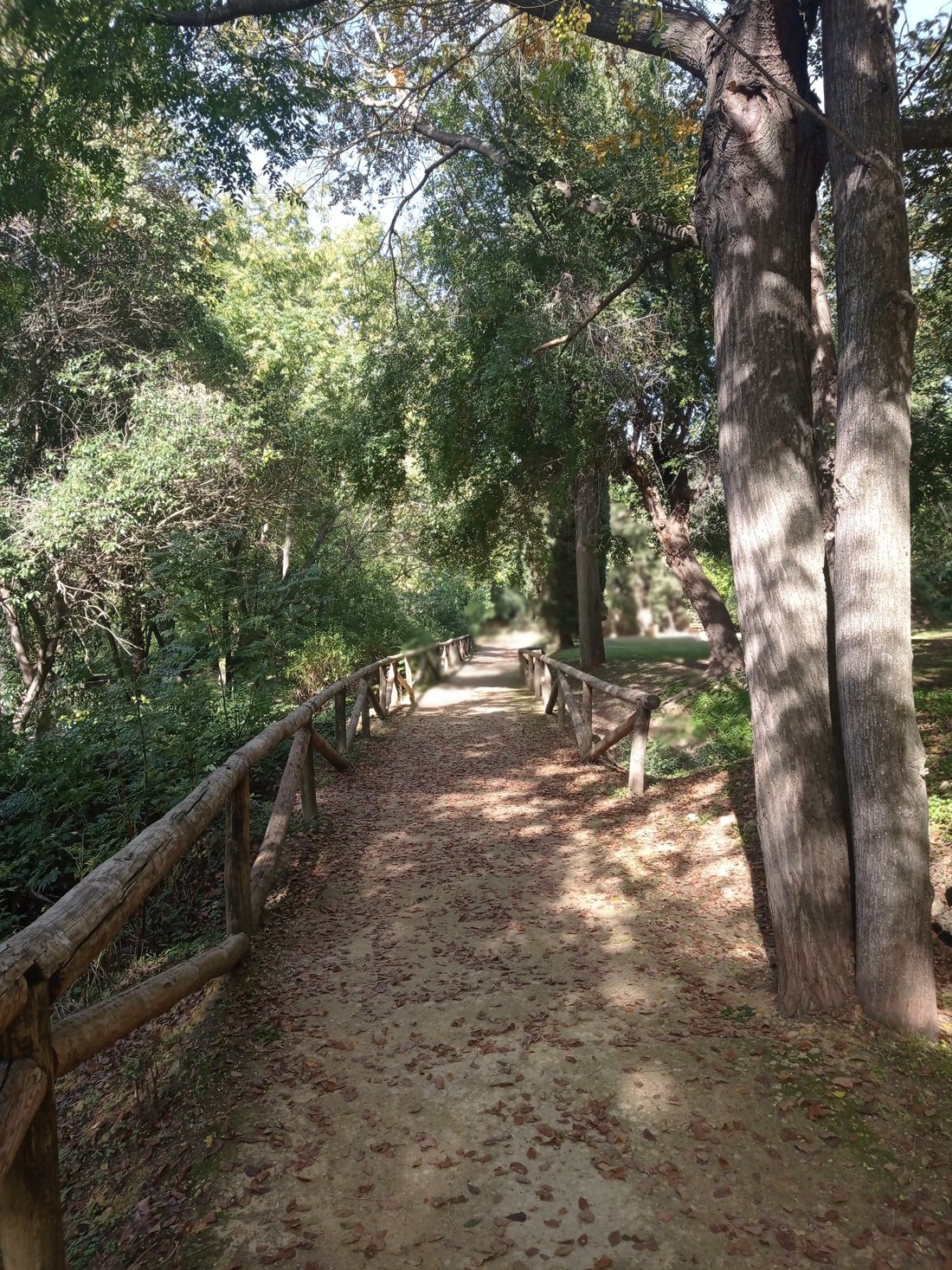 Land in Alcala de Guadaira, Andalusia, Spain 2 - 16625843