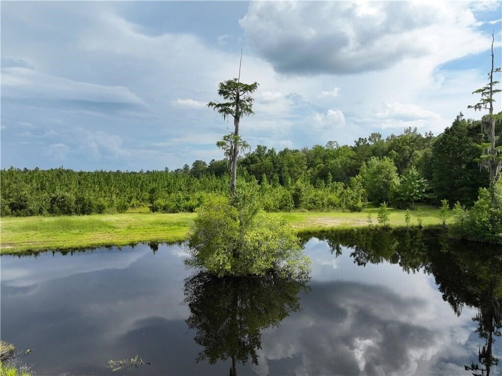 Farm Ranch in Jesup, Georgia, United States 3 - 16624417