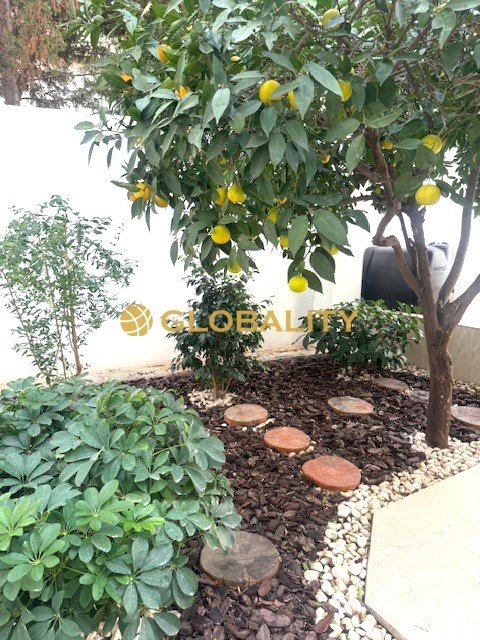 House in Keratsini, Attica, Greece 3 - 16626842