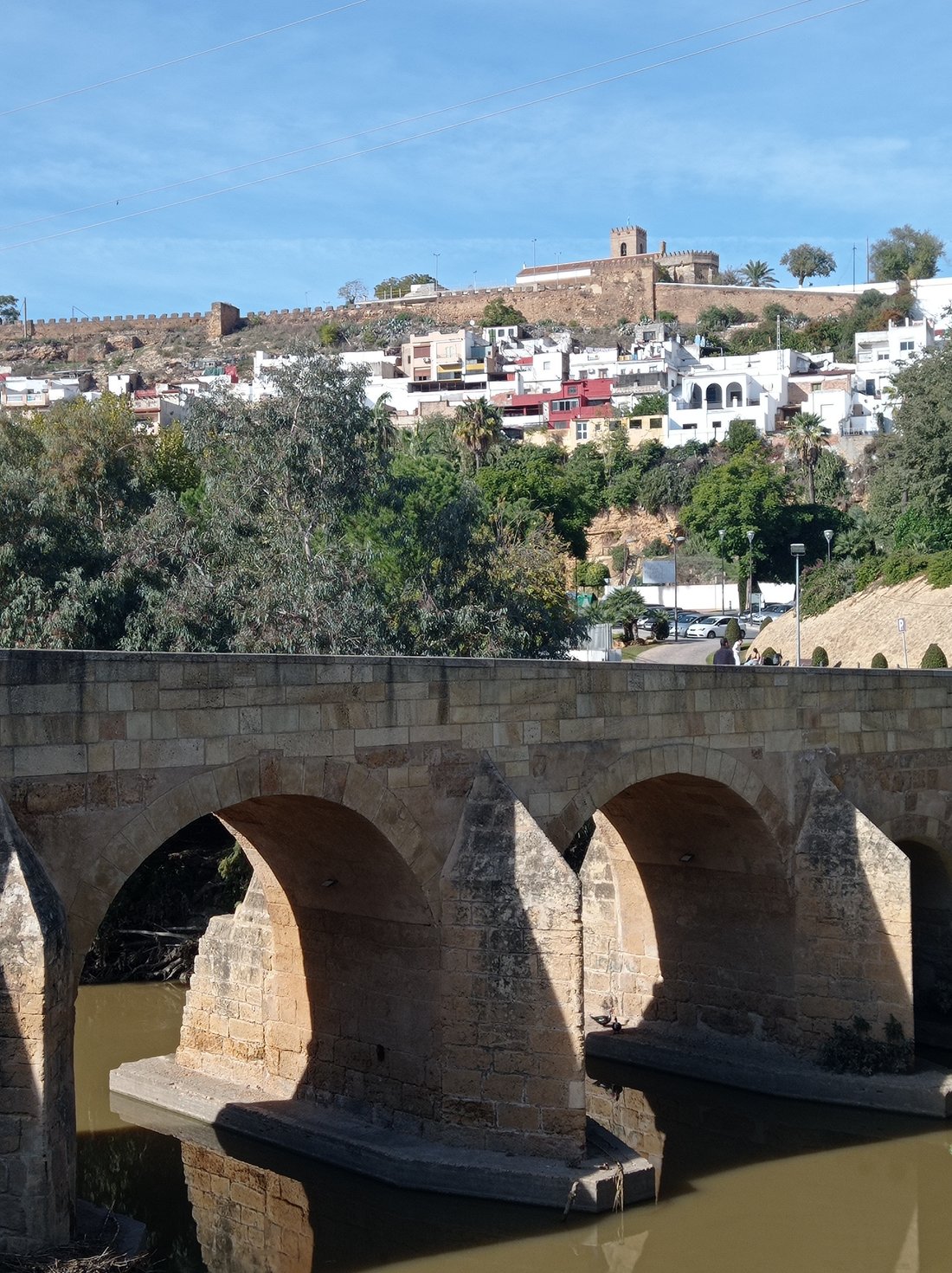 Land in Alcala de Guadaira, Andalusia, Spain 1 - 16625843