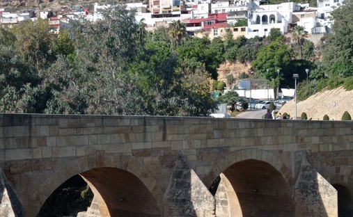 Land in Alcala de Guadaira, Andalusia, Spain 1