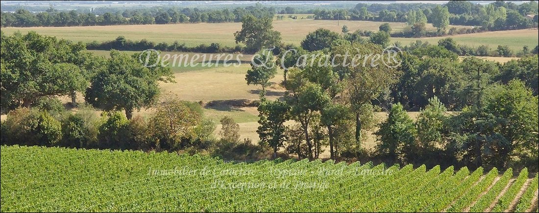 Estate in Chantonnay, Pays de la Loire, France 2 - 16628232