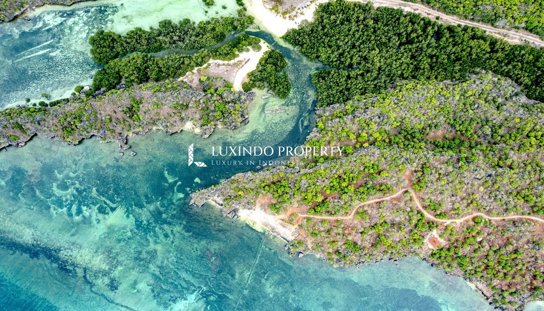 Land in pantai oeseli, East Nusa Tenggara, Indonesia 5 - 16635392