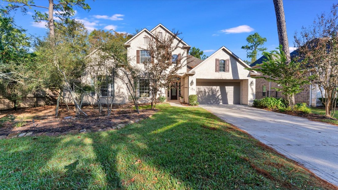 House in The Woodlands, Texas, United States 1 - 16645598