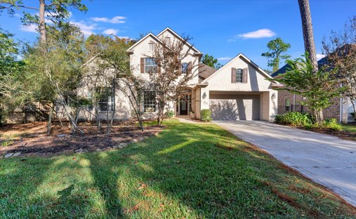 House in The Woodlands, Texas, United States 1