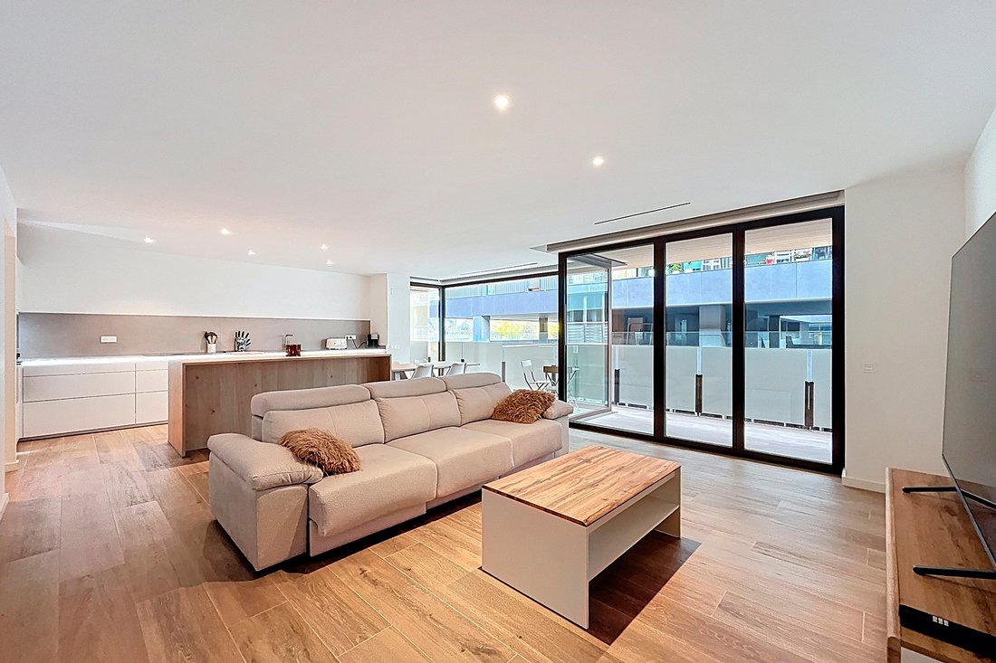 Apartment in Escaldes-Engordany, Escaldes-Engordany, Andorra 1 - 16602489