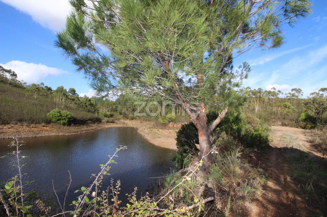 Land in Mexilhoeira Grande, Algarve, Portugal 5 - 16640258