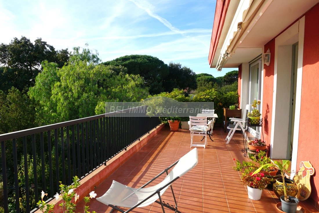 Villa in Sud, Cavalaire-sur-Mer, France 3 - 16645175