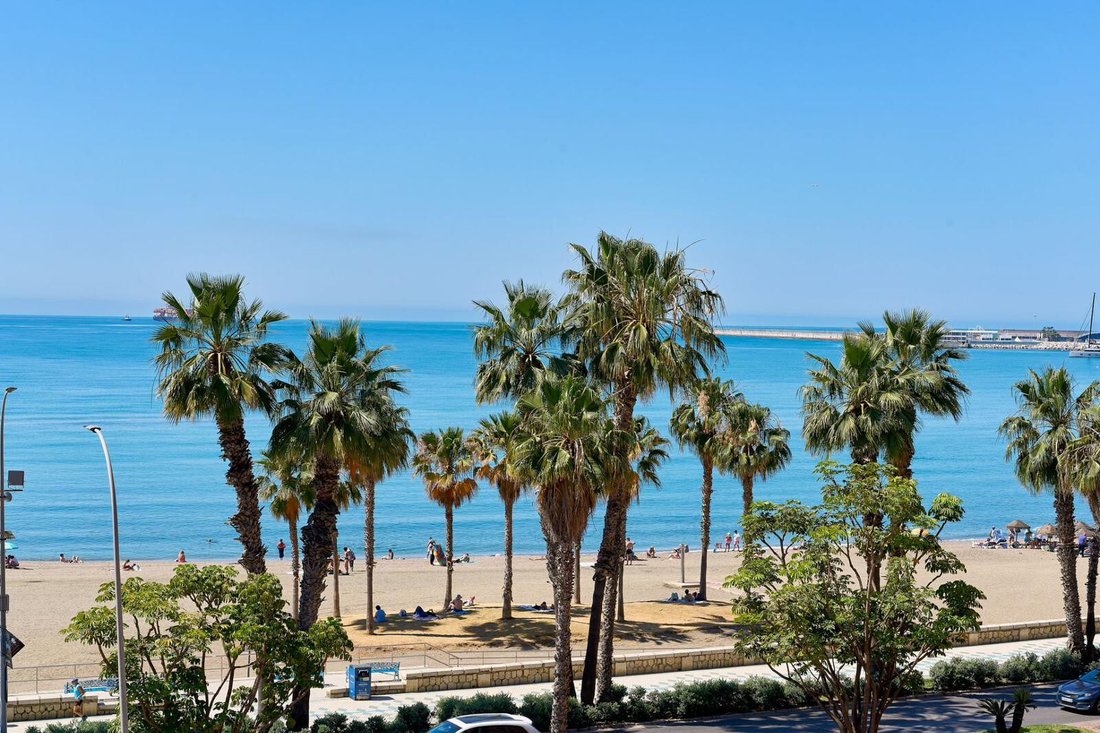 Apartment in La Caleta, Centro, Malaga 1 - 16642515