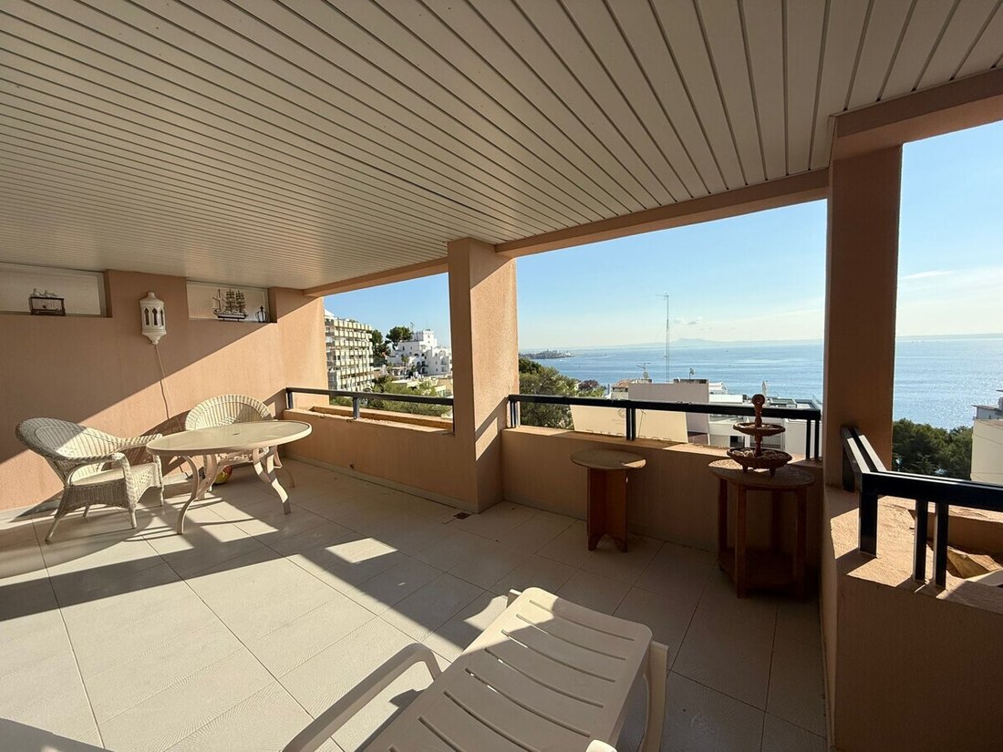 Apartment in Calvia, Balearic Islands, Spain 5 - 16630348