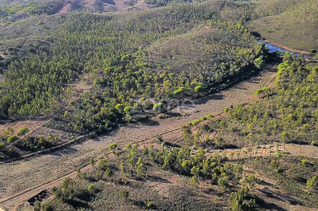 Land in Mexilhoeira Grande, Algarve, Portugal 1 - 16640258