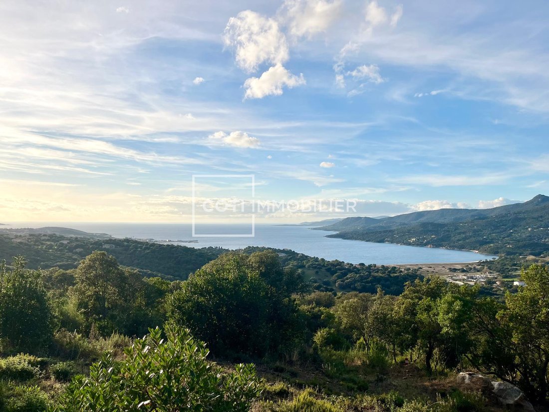Land in Viggianello, Corsica, France 1 - 16129987