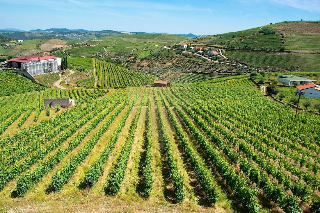 Farm Ranch in Ervedosa do Douro, Viseu District, Portugal 5 - 16629267