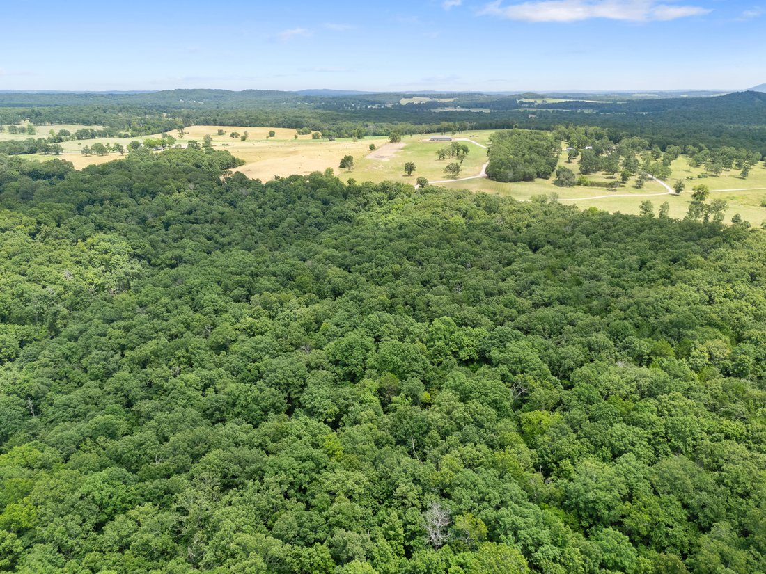 Land in Mountain Home, Arkansas, United States 5 - 16629367