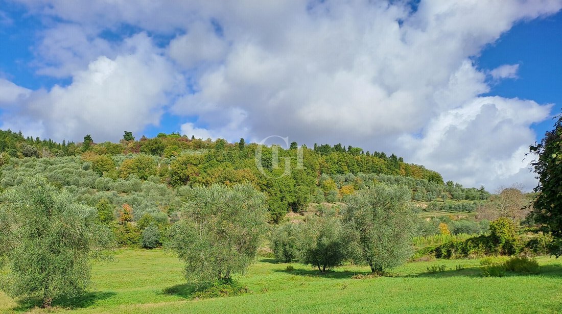 Casa a Riccia, Molise, Italia 5 - 16642247