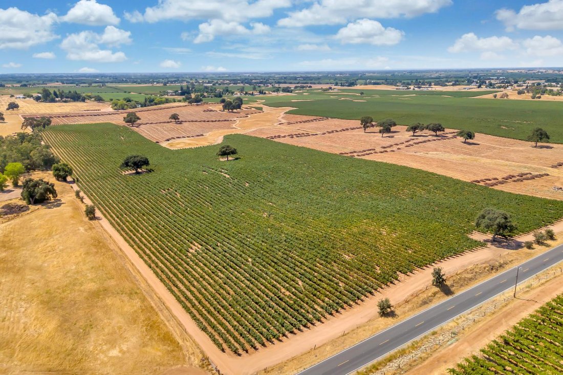Farm Ranch in Lodi, California, United States 4 - 16641618