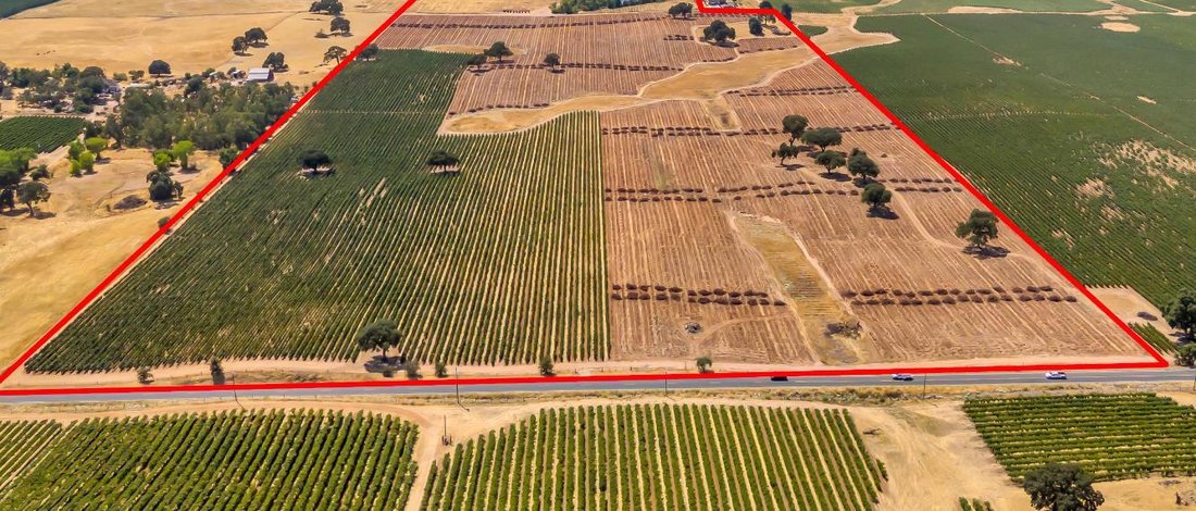 Farm Ranch in Lodi, California, United States 2 - 16641618