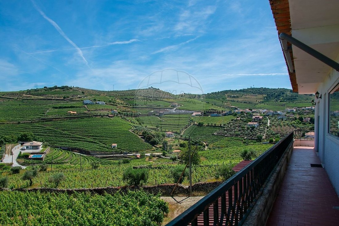 Farm Ranch in Ervedosa do Douro, Viseu District, Portugal 4 - 16629267