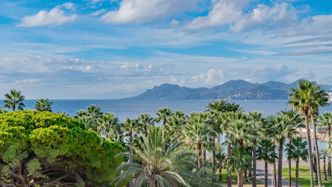 Apartment in Cannes, Provence-Alpes-Côte d'Azur, France 4 - 16630373