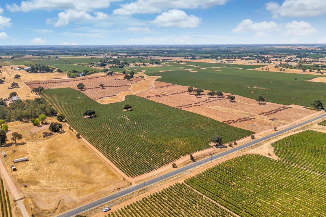 Farm Ranch in Lodi, California, United States 1 - 16641618