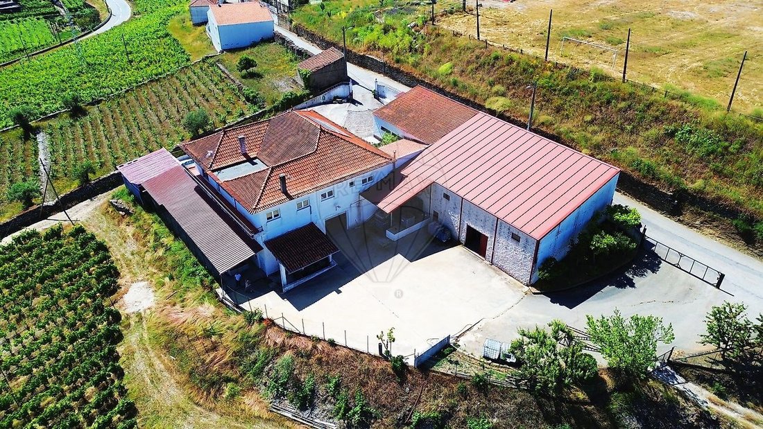 Farm Ranch in Ervedosa do Douro, Viseu District, Portugal 2 - 16629267
