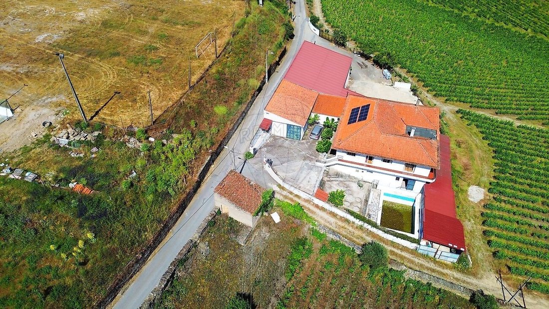 Farm Ranch in Ervedosa do Douro, Viseu District, Portugal 3 - 16629267