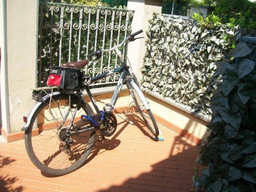 Apartment in Historic Center, Viareggio, Tuscany 3 - 16645188