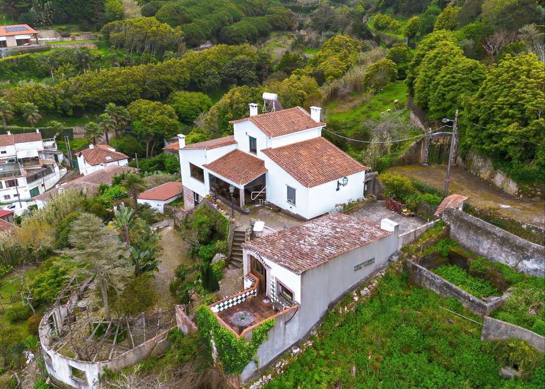 Villa in Colares, Lisbon, Portugal 4 - 16629245