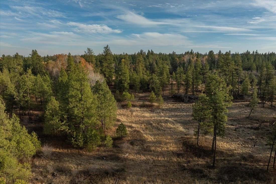 Land in Cheney, Washington, United States 5 - 16641483